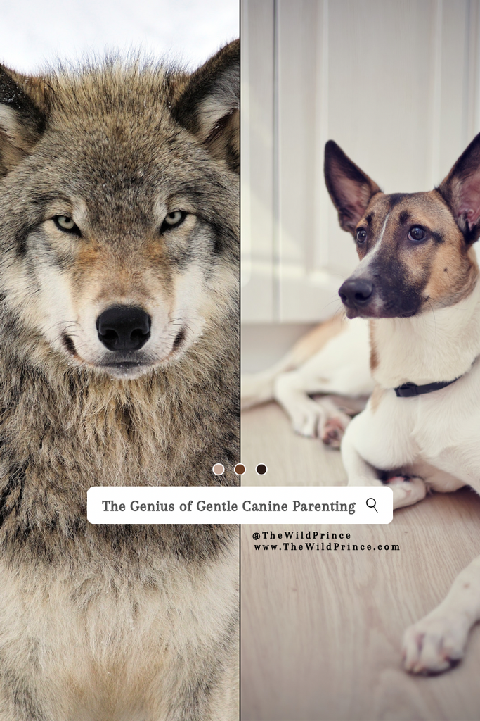 The Genius of Gentle Canine Parenting